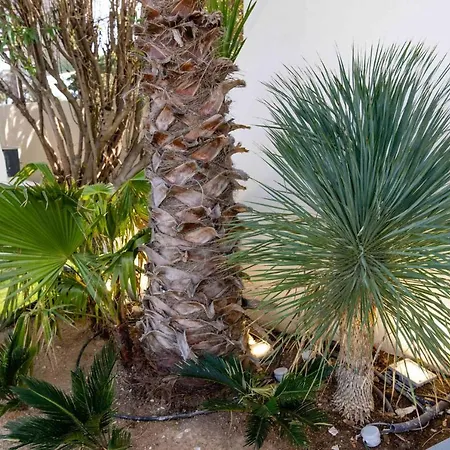 6 Pers A 30m De La *